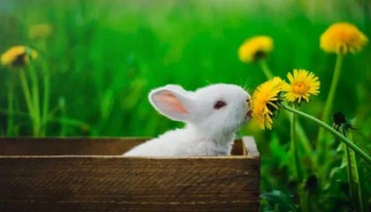 选择题：斯洛特看上葡萄牙国脚，米兰“懒王”要去安菲尔德效力？